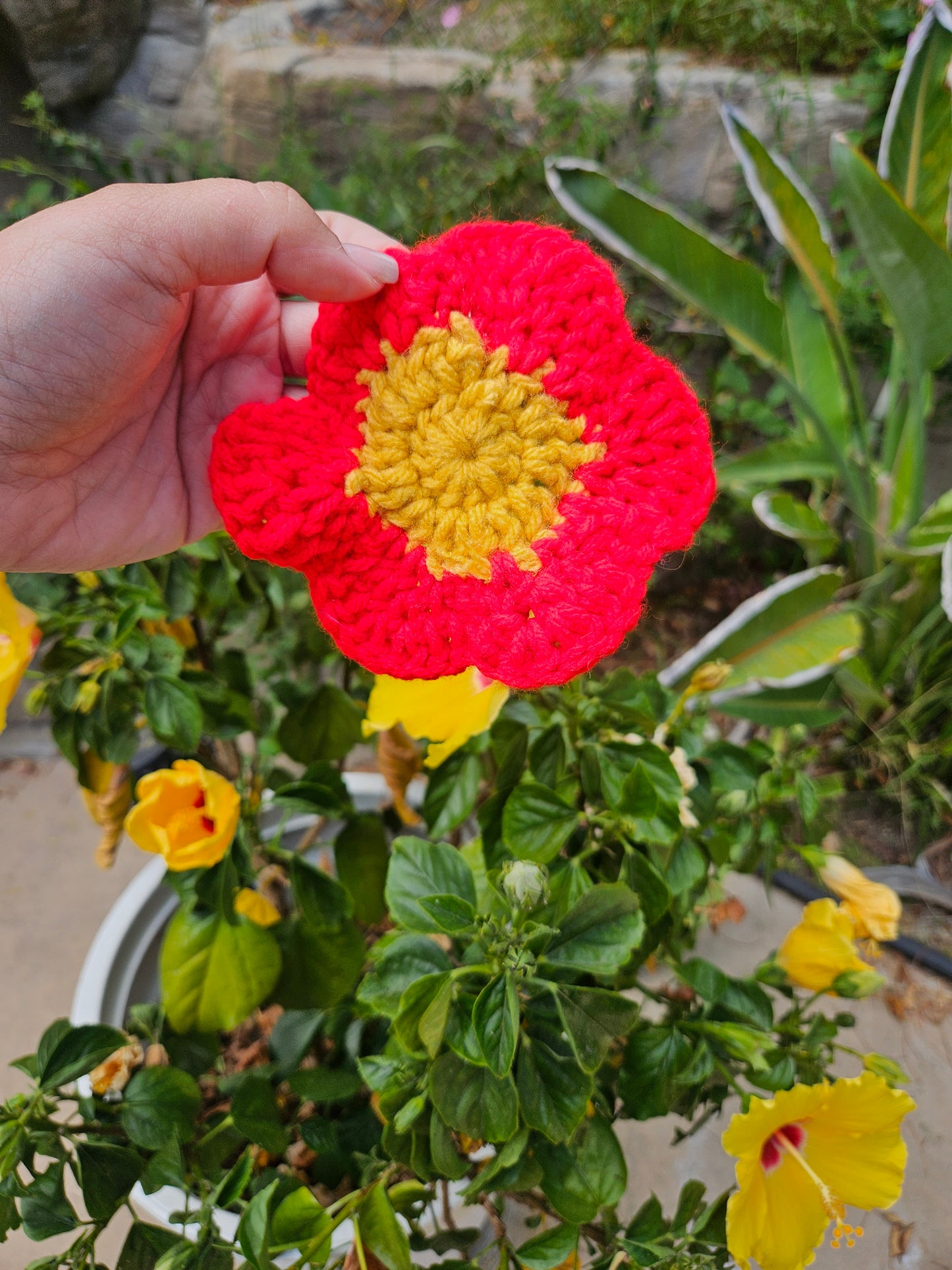 Red flower coaster singles